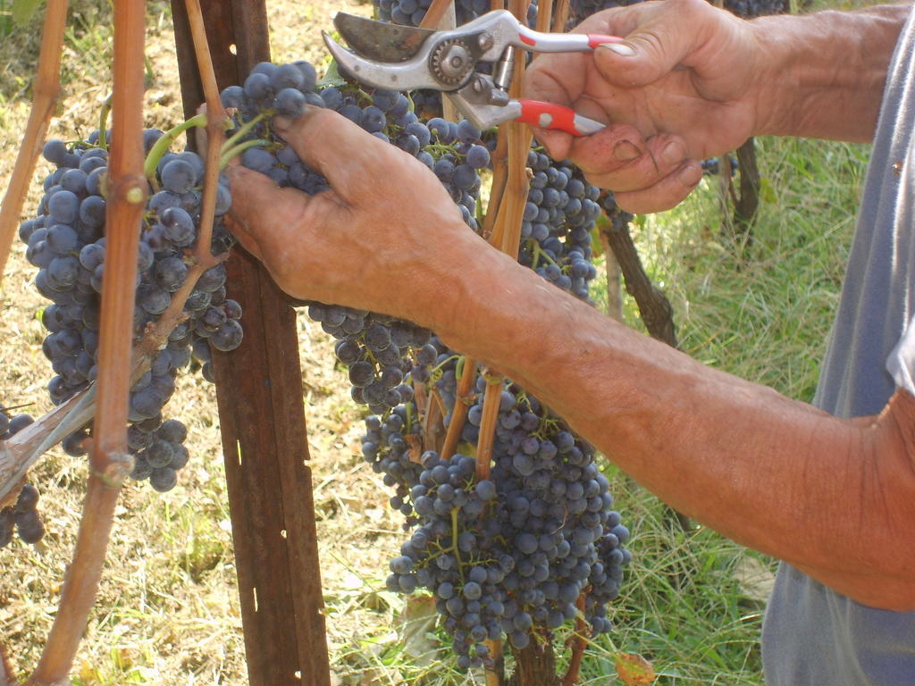 Agriturismo Marco Bergamo Kültér fotó